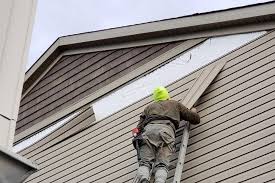 Best Insulated Siding Installation  in Belle Plaine, MN